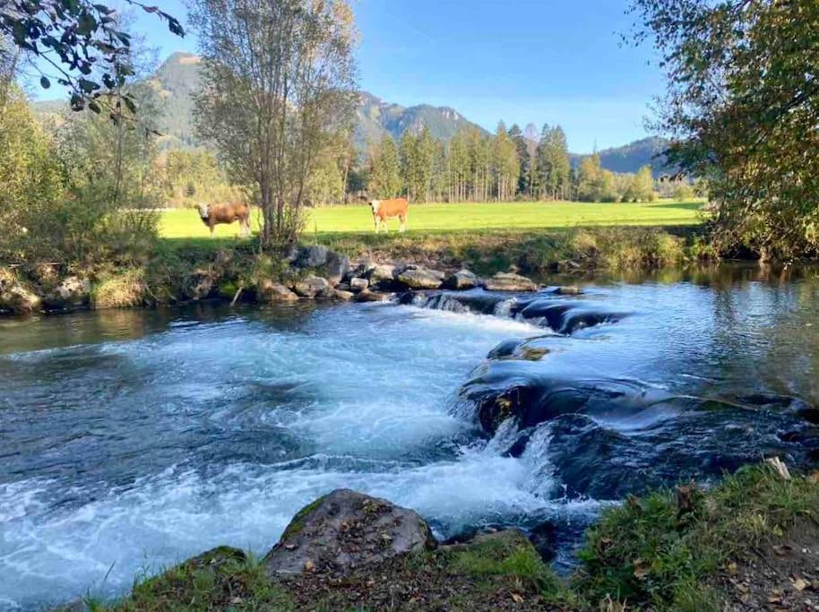Casa Natur Pur, 85M2 Mit Garten Sauna Fischbachau Exteriér fotografie
