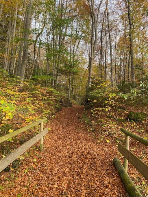 Casa Natur Pur, 85M2 Mit Garten Sauna Fischbachau Exteriér fotografie