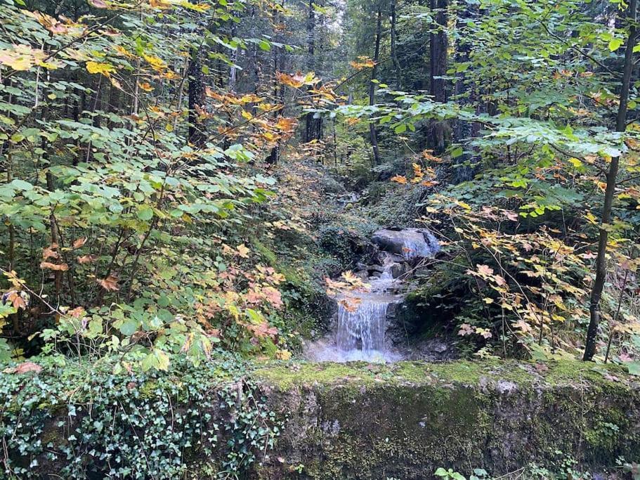 Casa Natur Pur, 85M2 Mit Garten Sauna Fischbachau Exteriér fotografie